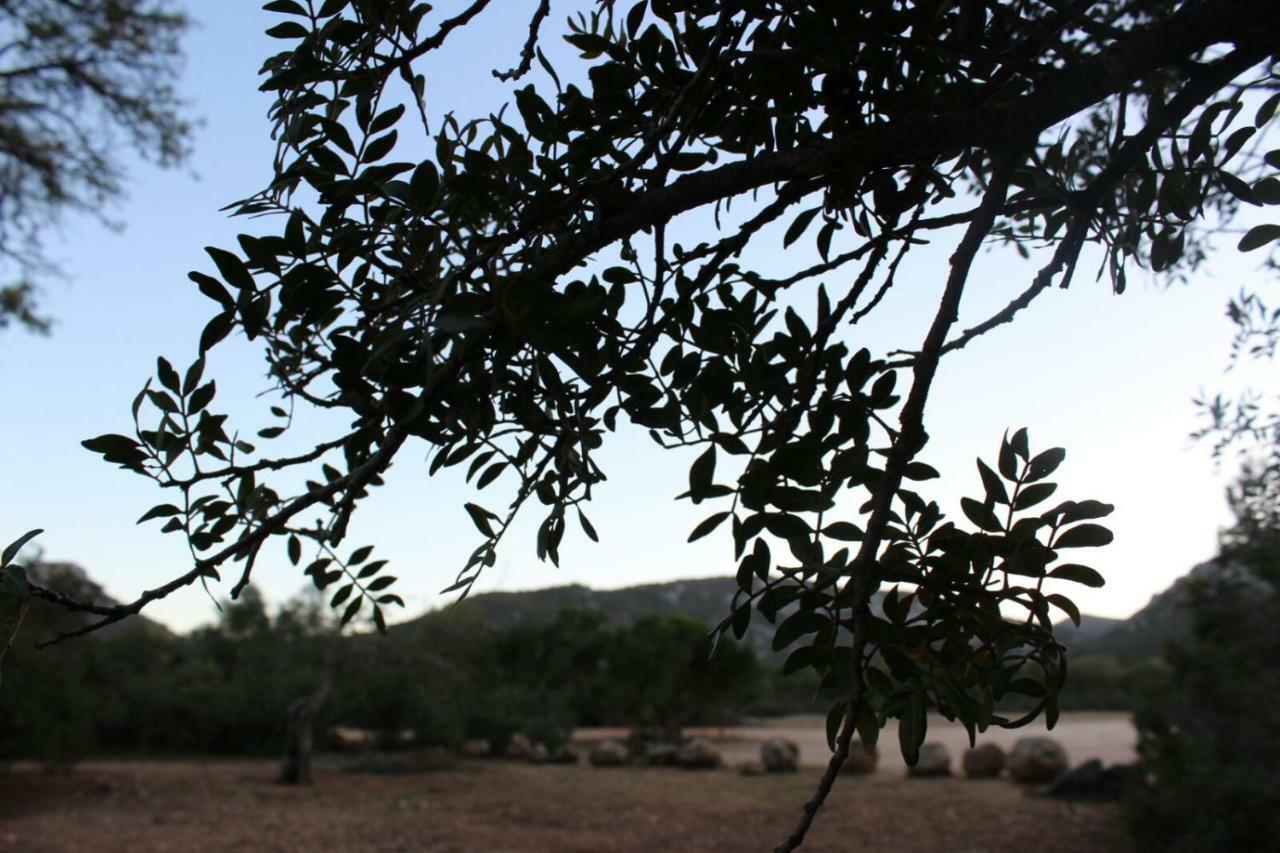 فندق Su Campanile بوناي المظهر الخارجي الصورة